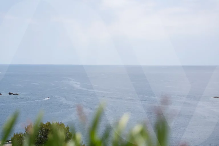 DSC07601